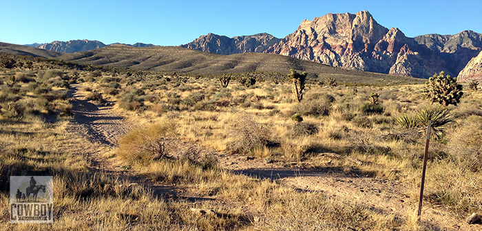 Sunrise on the Rim Ride while Horseback Riding in Las Vegas at Cowboy Trail Rides in Red Rock Canyon